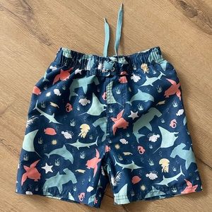 4T Ruggedbutts boy swim trunks